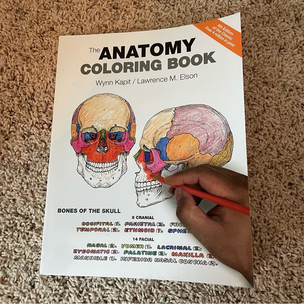 Anatomy coloring book